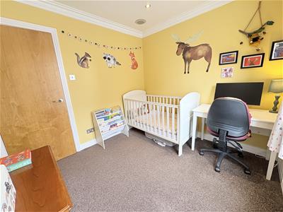 Picture 13